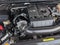 2022 Nissan Frontier Crew Cab PRO-4X 4x4